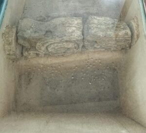 Mater ex Asilo Mendicita (8)
