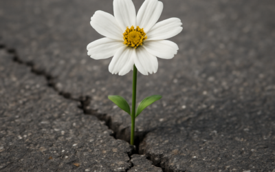 Raccontare il positivo