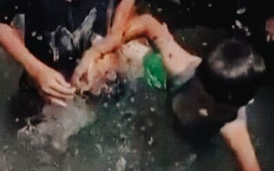 La piscina di plastica tra le macerie